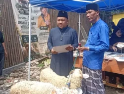 Idul Adha 1447 H: Kapalang Misteri Sukses Sebar 300 Ekor Domba Kurban untuk Masjid dan Pesantren