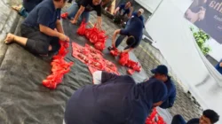 Iduladha 1447 H: Sinergi Kantor Cabang BRI Area Warung Buncit Gelar Kurban di BO Pasar Minggu